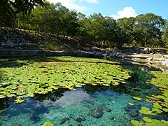 Cenote Xlacah - P1110791