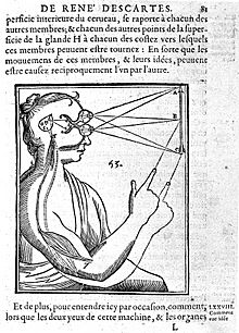 Archivo:Descartes; Coordination of muscle and visual mechanisms. Wellcome L0002392