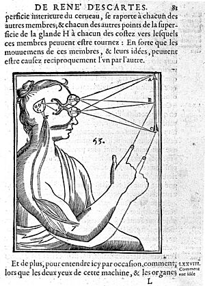 Archivo:Descartes; Coordination of muscle and visual mechanisms. Wellcome L0002392