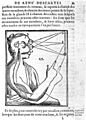 Descartes; Coordination of muscle and visual mechanisms. Wellcome L0002392