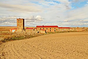 Archivo:Despoblado de Riolobos (El Campo de Peñaranda)