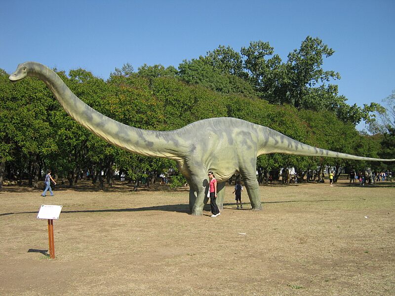 Diplodocus model