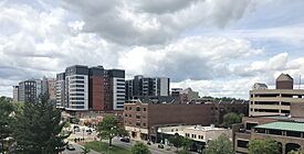 Downtown East Lansing (2022).jpg