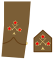 Ejerpopulardivi21