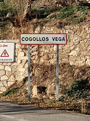 Archivo:Entrada de Cogollos Vega, en Granada