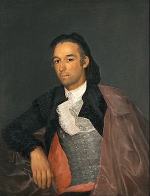 Francisco de Goya - Portrait of the Matador Pedro Romero - Google Art Project.jpg