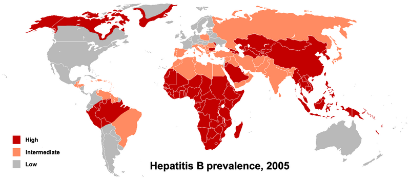 HBV prevalence 2005