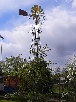Archivo:Hassloch-pfalz westernmill 20060429 387 part