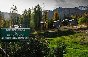 Archivo:Huinganco