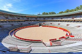 Interior Plaza de Toros de Pamplona.jpg