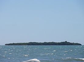 Isla del Frío para Niños