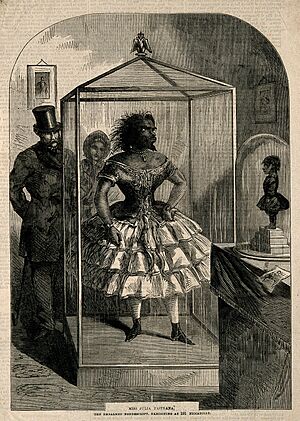 Archivo:Julia Pastrana, a bearded lady, embalmed. Wood engraving, 18 Wellcome V0007255