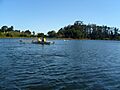 Laguna grande botes