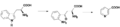 Nicotinic acid biosynthesis2