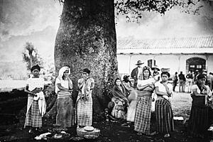 Archivo:Palineichenberger1900
