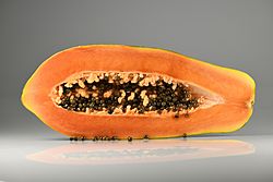 Papaya - longitudinal section.jpg