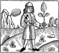 Pawn as Cessolis described, messager