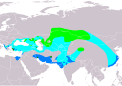 Mapa de distribución del Pelícano ceñudo