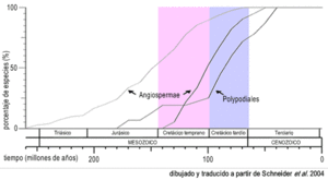 Archivo:Polypodiales-diversificacion-cretacico