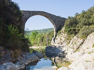 Pont de Llierca a 12 Abril 2017.jpg