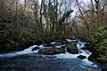 Río Pambre 2I2015 02