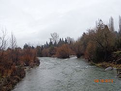 Archivo:Río Quemquemtreu