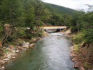 Archivo:Rio Olivia 3 TDF