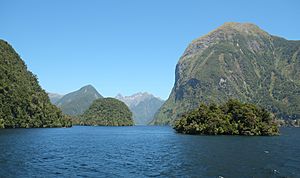 Archivo:Rolla Island in front of Commander Peak and entrance to Hall Arm of Doubtful Sound