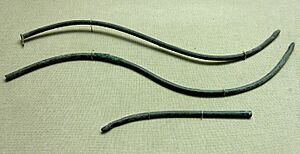 Archivo:Roman catheters BM GR1968.6-26.1to39