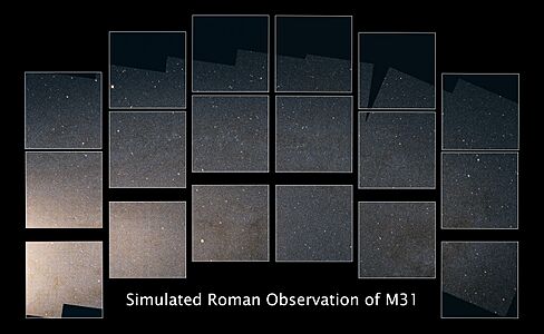 Roman phatSIM clean smaller