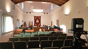 Archivo:Salón de plenos de Villanueva de la Cañada