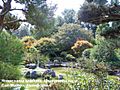 San-Mateo-Central-Park-Japanese-Garden