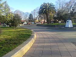 San Carlos 2,Chile..jpg