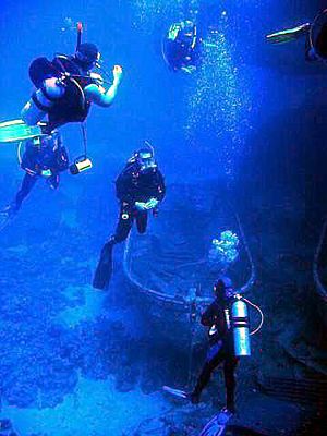 Archivo:Scuba-diving