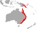 Smaller Horseshoe Bat area