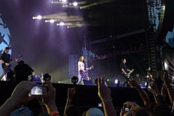 Archivo:Soundgarden Lollapalooza 2010