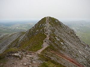 Archivo:The summit of Errigal - geograph.org.uk - 1052814