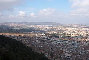 Archivo:Tlemcen vue générale 1