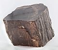 Tronco de árbol fosilizado, Arizona, Estados Unidos, 2021-01-05, DD 081-103 FS