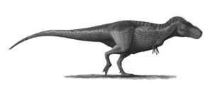 Archivo:Tyrannosaurus-rex-Profile-steveoc86