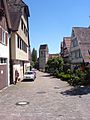 Zavelstein2