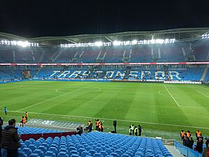 Archivo:Şenol Güneş Stadium