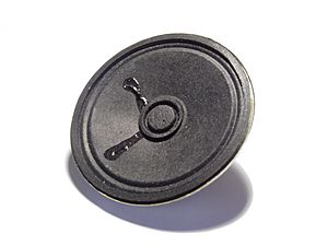 Archivo:3.5 Inch Speaker