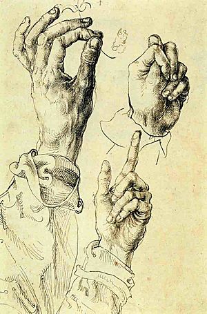 Archivo:Albrecht Durer hand study drawing