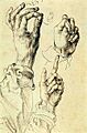 Albrecht Durer hand study drawing