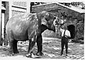 Antoni Jonch al Zoo de Barcelona
