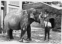 Antoni Jonch al Zoo de Barcelona.jpg