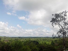 Bosque Seco Ecuatorial Tumbes.jpg