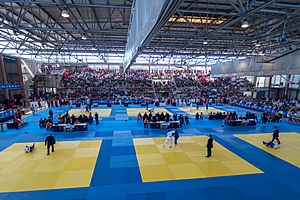 Archivo:CE Judo sábado mañana 2 (37) (28122664138)