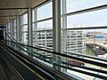 Cable-suspended footbridge at DFW terminal D